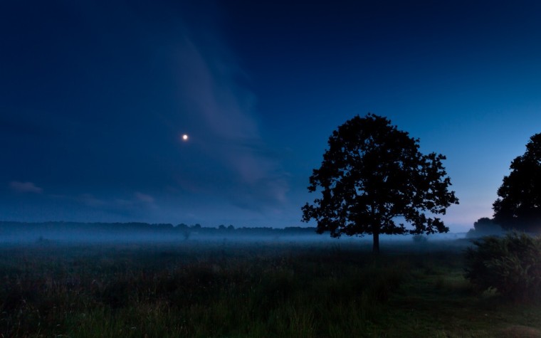 silent-night-mist-1686046-1280x800